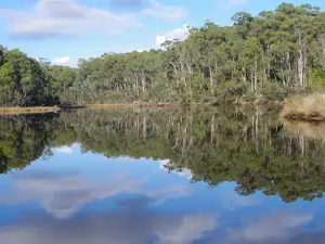 Leven River Cruises