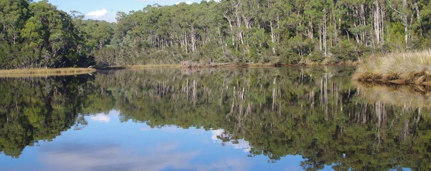 Leven River Cruises