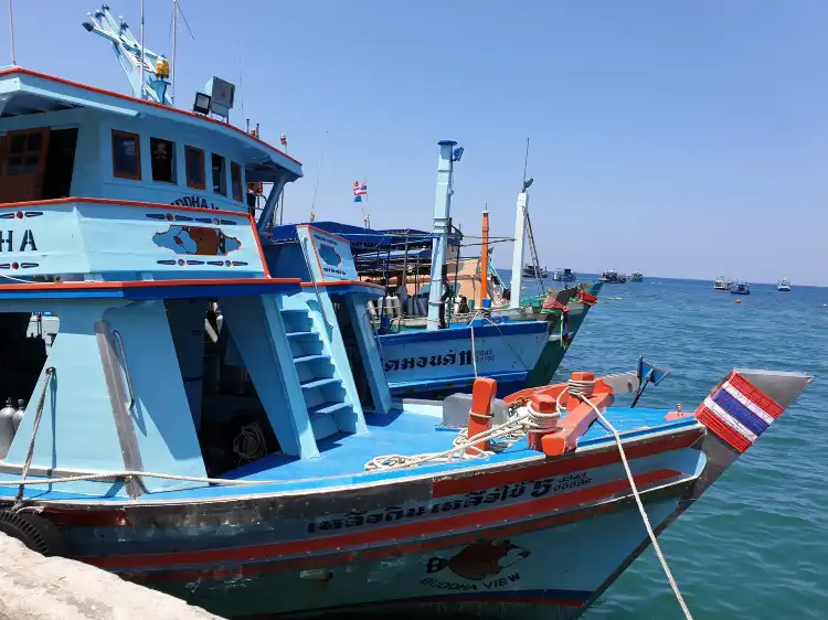 Các khách sạn gần Asia Divers
