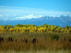 Alamosa National Wildlife Refuge