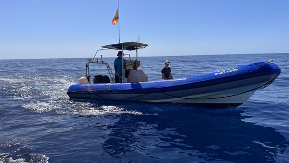 Gran Canaria Divers