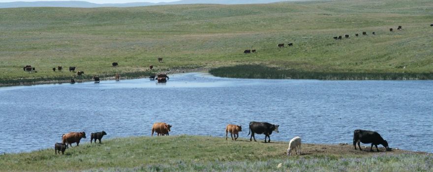 Twin River Heritage Rangeland Natural Area