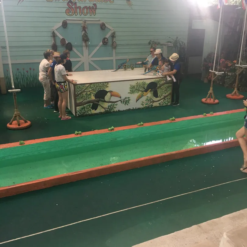 5_Phuket Bird Paradise