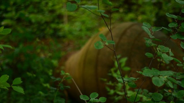 Vortex Garten Mathildenhöhe