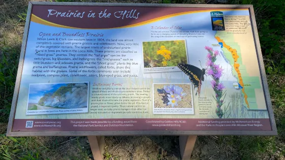 Dorothy Pecaut Nature Center