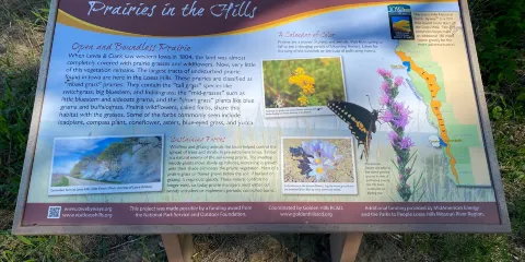 Dorothy Pecaut Nature Center