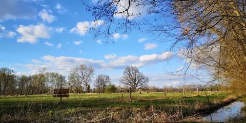 Radduscher Naturhafen