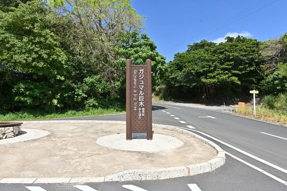 Hotels near Big Ficus Microcarpa In Tekuzuku