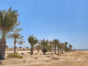 Dalma Island
