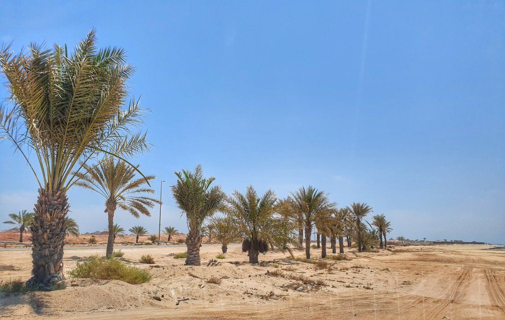 Dalma Island