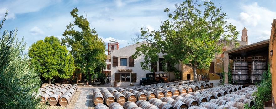 Casa Vermouth Padro