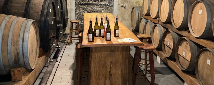 Petrič winery
