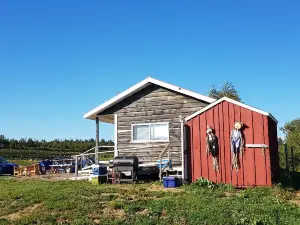 Trueman Blueberry Farms