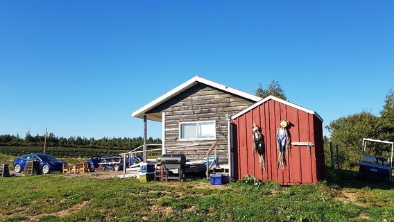 Trueman Blueberry Farms