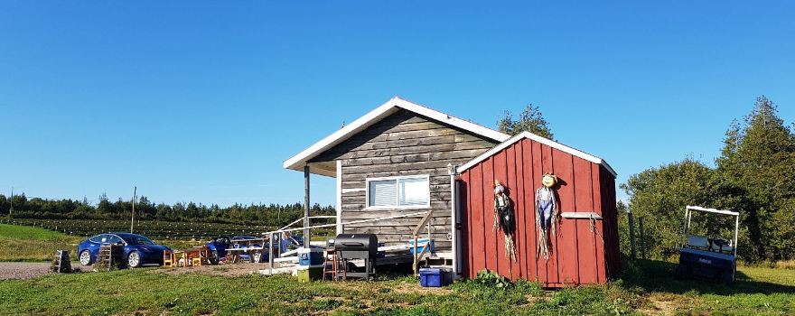 Trueman Blueberry Farms
