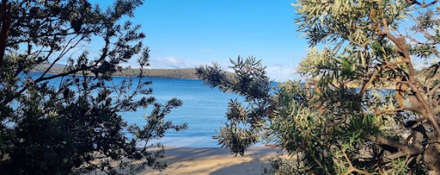 Randalls Bay Beach