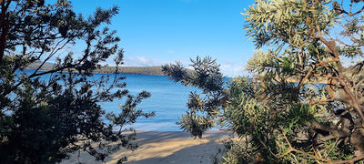 Randalls Bay Beach