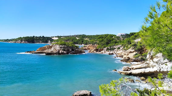 Platja de l'Aliga