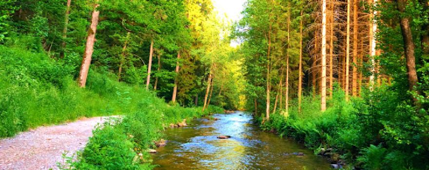 Haslach an der Mühl, OÖ, “Welset Pühret“
