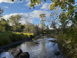 Rum River State Forest