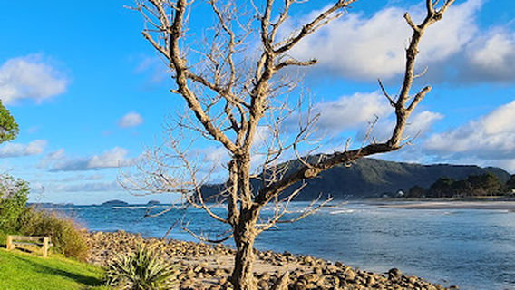 Paku Scenic