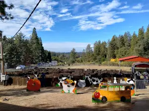 Abel's Apple Acres