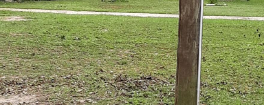 Avondale Park