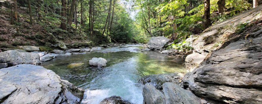 Taconic State Park