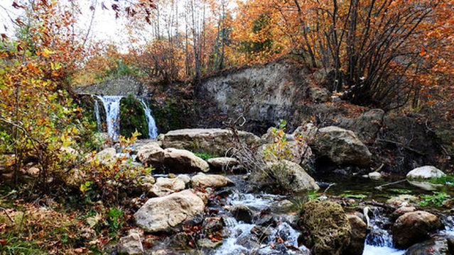 166. Yıl Polis Hatıra Ormanı