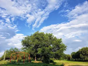 Braulio Fernandez Ecological Park