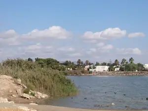 Cine de Vera