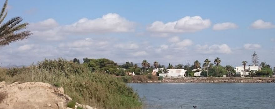 Cine de Vera