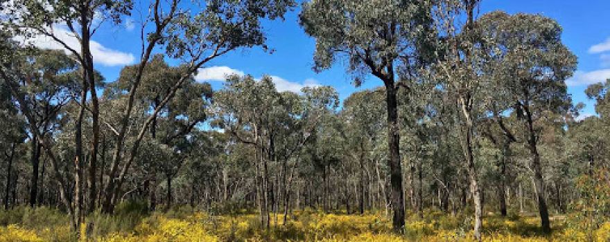 Greater Bendigo National Park