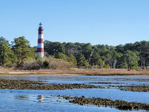 Daisey's Island Cruises - Booking Office