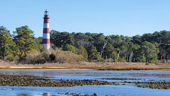 Daisey's Island Cruises
