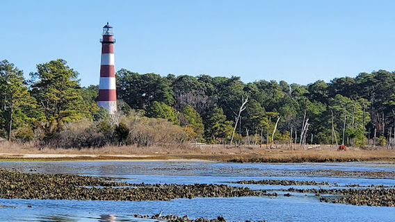 Daisey's Island Cruises