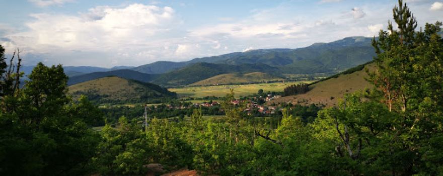 Dolna Krasta, Zlesti ️