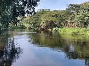 Balneario Río Verde