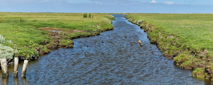 Hallig Hooge