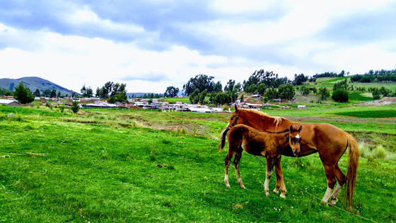 Santa Cruz de Ñuñunhuaycco
