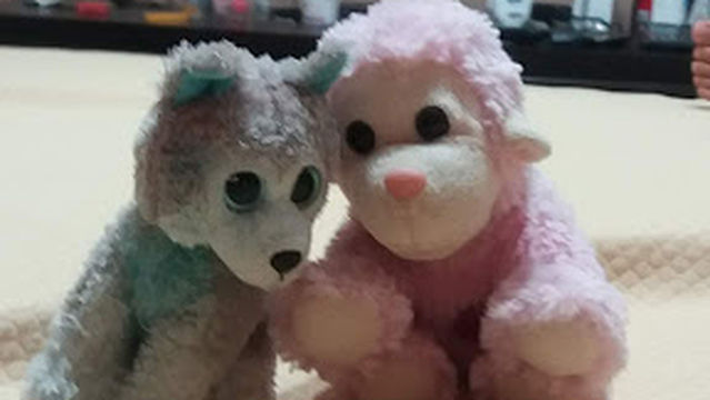 Calvary Baptist Church