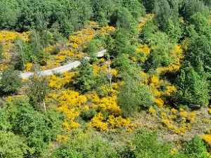 Haselbergturm