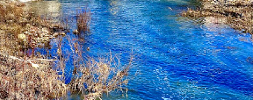 MacNaughton Park and Nature Trail