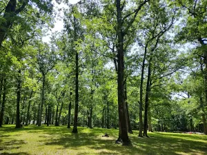 Dyer Park