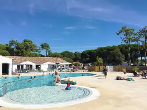 Camping Le Suroit
