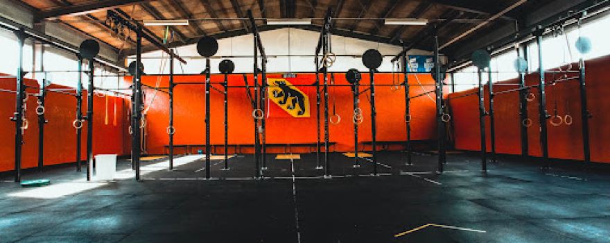 Functional Fitness Performance Seeland