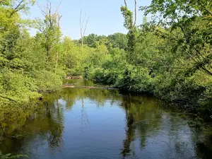Rose Lake State Wildlife Research Area