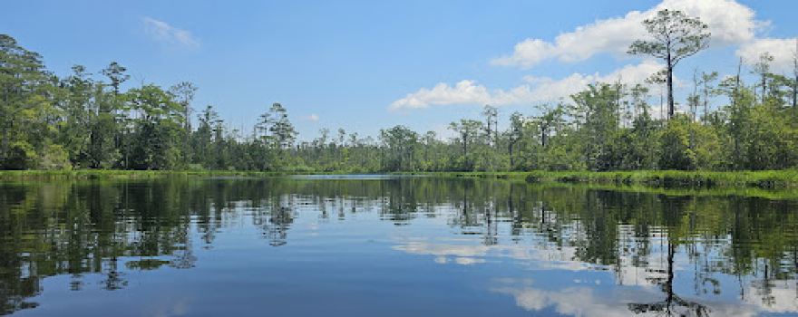 Coastal Kayak Touring Company