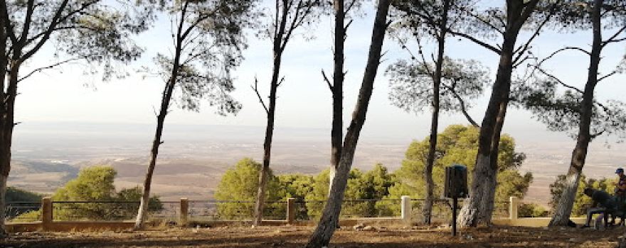 Forêt de sidi ghalem