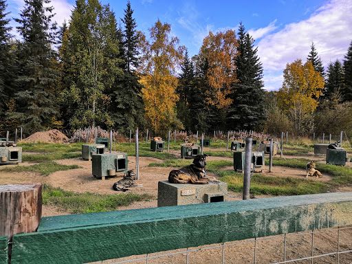 Chena Hot Springs Dog Yard